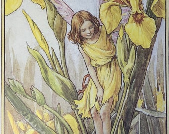 Original Vintage Print 1995 by Cicely Mary Barker.  The Iris Fairy. Childs Nursery, Playroom Childs Gift, Fairies  Home Decor