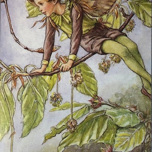 May include: A fairy with brown hair and wings sits on a branch of a tree with green leaves and small yellow flowers. The fairy is wearing a brown shirt, green trousers, and a green sash.