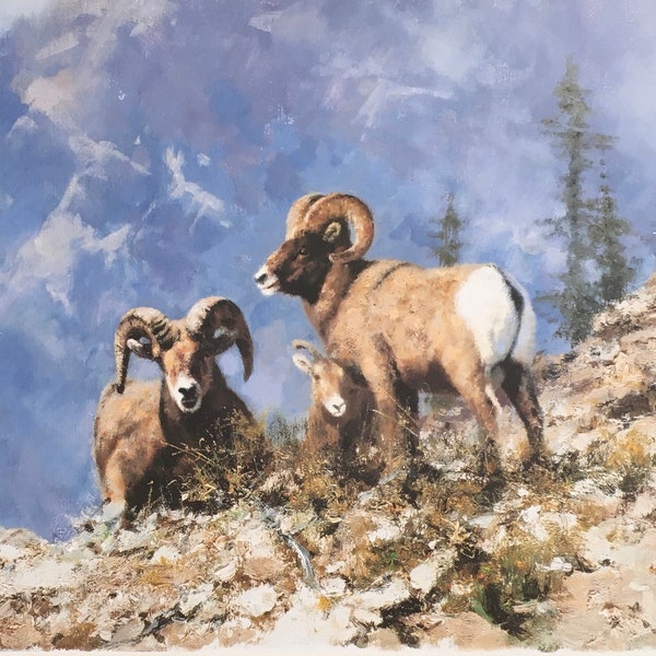 Impression vintage originale par David Shepherd 1992. Moutons Big Horn. Art mural, décoration d'intérieur pour n'importe quelle pièce, art animalier.