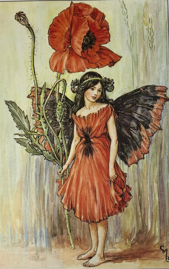 Original Vintage Print 1995 by Cicely Mary Barker. the Poppy Fairy
