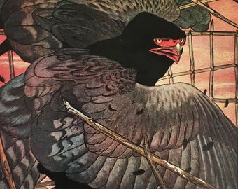 Original Vintage Print By Detmold 1976. The Eagle And His Captor. The Fables Of Aesop. Wall Art Home Decor Fable And Fantasy