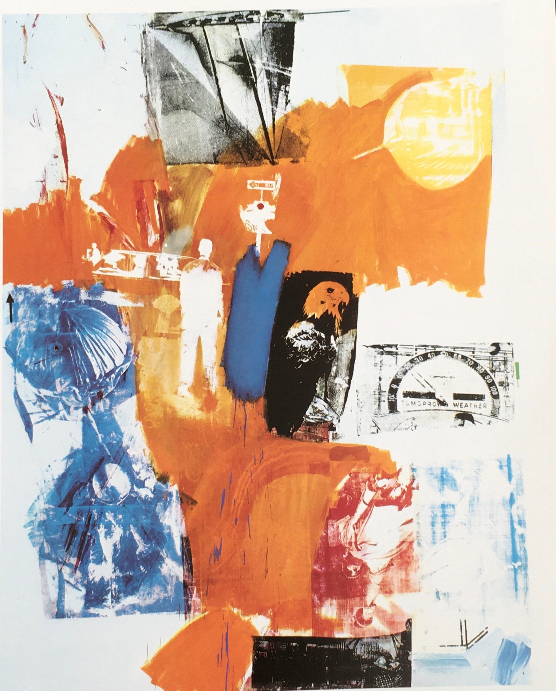 Original Vintage Print 1995. the Tree Frog by Robert Rauschenberg