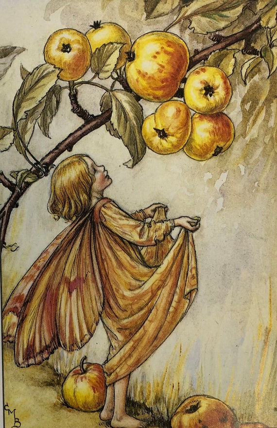 Original Vintage Print 1995 by Cicely Mary Barker. the Crab-apple Fairy.  Childs Nursery Playroom, Childs Gift, Fairies, Any Home Decor - Etsy