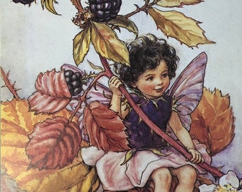Original Vintage Print 1995 by Cicely Mary Barker.  The Blackberry Fairy. Childs Nursery, Playroom Childs Gift, Fairies  Home Decor