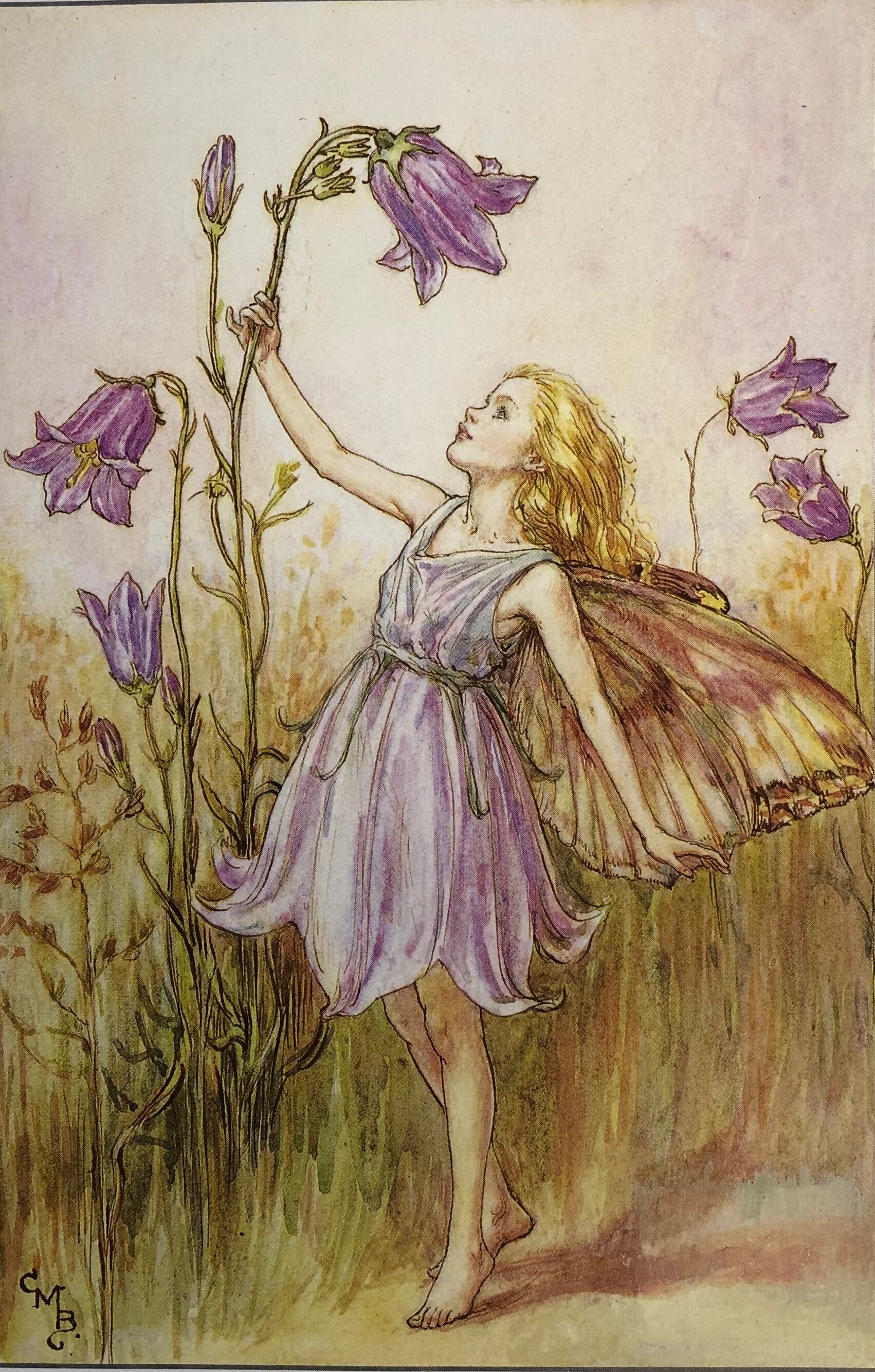 Original Vintage Print 1995 by Cicely Mary Barker.  The Harebell Fairy. Childs Nursery, Playroom, Childs Gift, Fairies, Any Home Decor