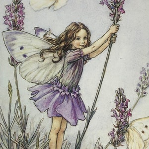 Original Vintage Print 1995 by Cicely Mary Barker.  The Lavender Fairy. Childs Nursery, Playroom, Childs Gift, Any Home Decor