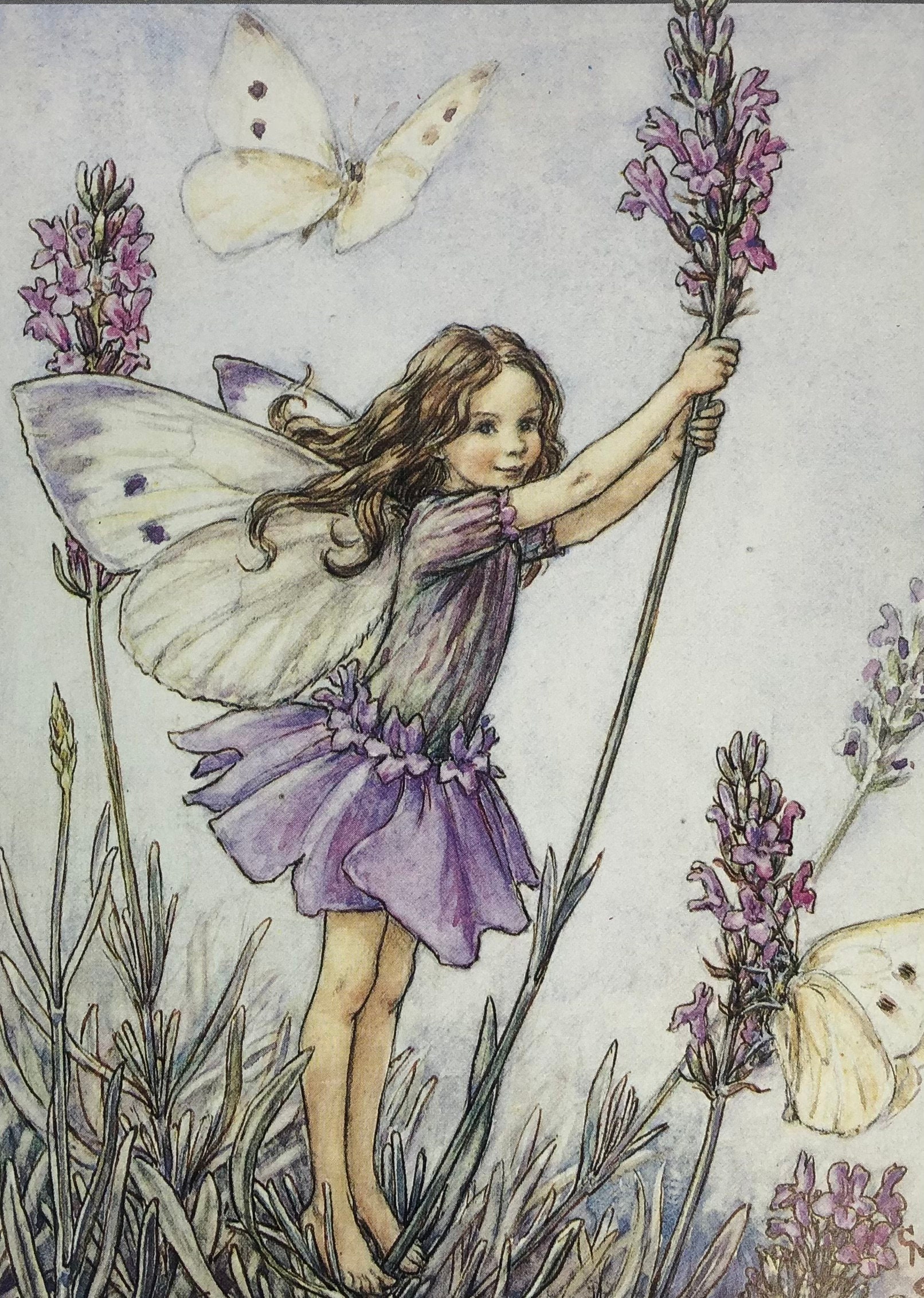 Original Vintage Print 1995 by Cicely Mary Barker. the