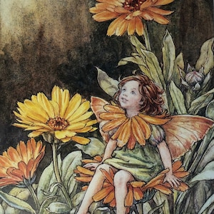 Original Vintage Print 1995 by Cicely Mary Barker.  The Marigold Fairy. Childs Nursery, Playroom, Childs Gift, Any Home Decor