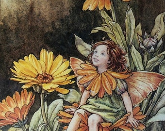 Original Vintage Print 1995 by Cicely Mary Barker.  The Marigold Fairy. Childs Nursery, Playroom, Childs Gift, Any Home Decor