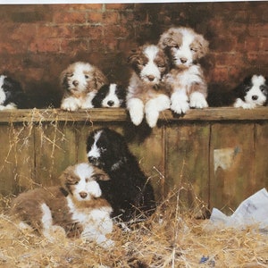 May include: A painting of eight brown and white border collie puppies. The puppies are sitting on a wooden fence with hay on the ground. The puppies are looking at the camera.