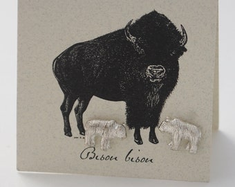 Bison Stud Earrings - sterling silver plate