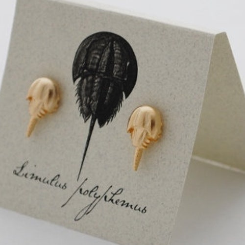 Horseshoe Crab Earrings sterling Plate Limulus STUDS Etsy