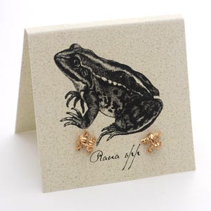 Orecchini a forma di rana - oro 14k su argento sterling