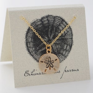 Sand Dollar Necklace - 14k gold plate