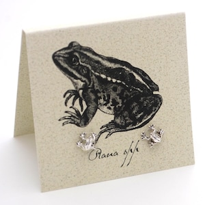 May include: A pair of silver frog stud earrings on a card with a black and white illustration of a frog and the text "Rana 6/1".