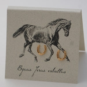 May include: A pair of gold horseshoe earrings on a card with a black and white illustration of a horse. The card also has the text "Equus ferus caballus".