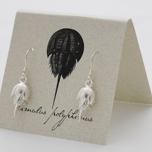 Puede incluir: Pendientes plateados con forma de cangrejo herradura, expuestos sobre una tarjeta plegada. La tarjeta presenta una ilustración negra de un cangrejo herradura y el texto manuscrito "Limulus polyphemus". Cierre de gancho.