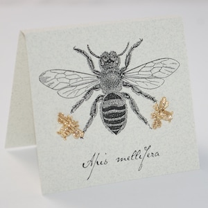 Bee Studs - 14k gold over sterling silver