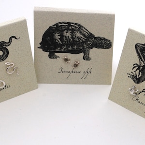May include: Three cards with black and white illustrations of a snake, a turtle, and a frog. Each card has a pair of silver earrings on it. The cards are labeled "Serpentes", "Testudine", and "Rana".