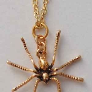 May include: A gold chain necklace with a gold spider pendant. The spider has eight legs and a detailed body.