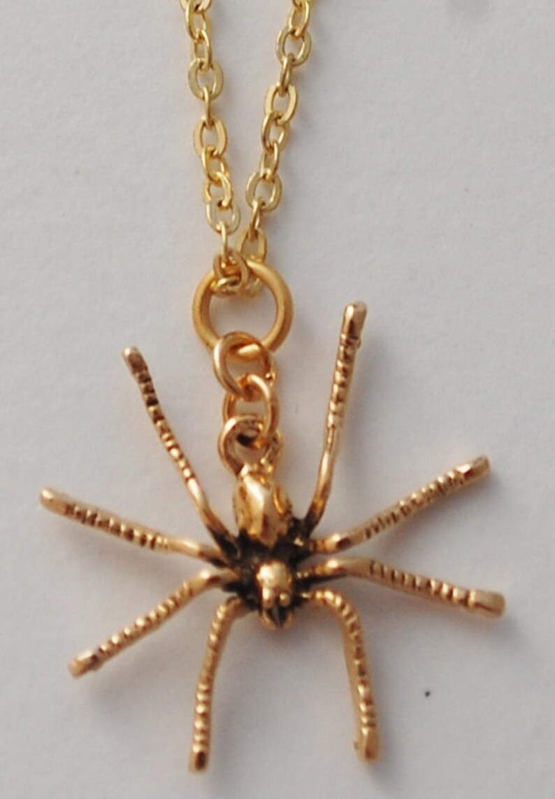May include: A gold chain necklace with a gold spider pendant. The spider has eight legs and a detailed body.
