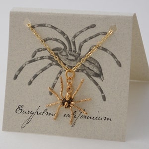 May include: Gold necklace with a spider pendant. The pendant is a detailed depiction of a spider with eight legs. The necklace is displayed on a card with a drawing of a spider and the text "Euryhelma californicum".