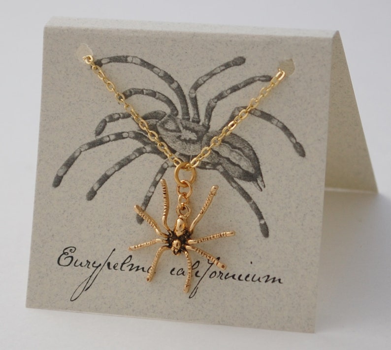 May include: Gold necklace with a spider pendant. The pendant is a detailed depiction of a spider with eight legs. The necklace is displayed on a card with a drawing of a spider and the text "Euryhelma californicum".