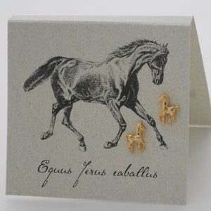Horse Stud Earrings - 14k gold over sterling silver