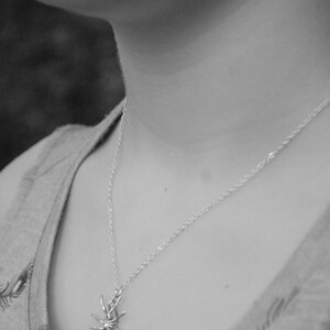May include: A silver chain necklace with a delicate spider pendant.