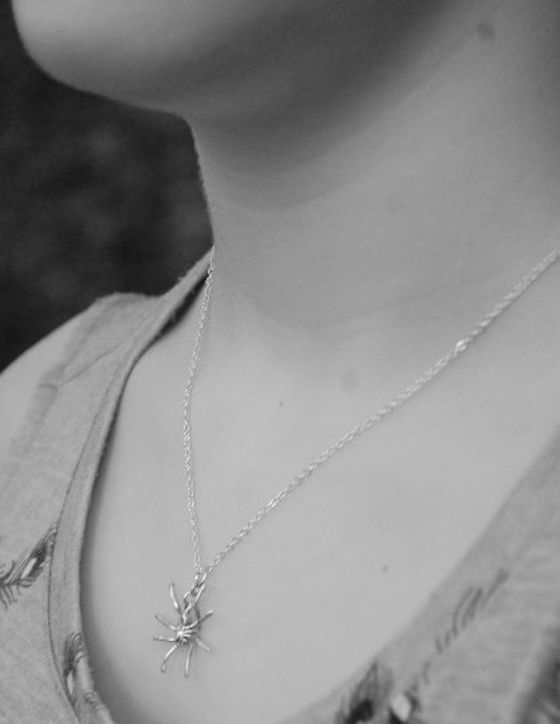 May include: A silver chain necklace with a delicate spider pendant.