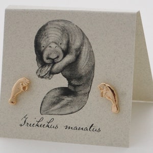 May include: A pair of gold-tone manatee earrings on a card with a black and white illustration of a manatee and the text "Trichechus manatus".