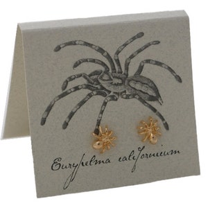 Spider Stud Earrings - 14k gold over sterling silver