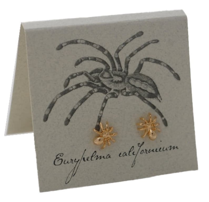 K&ouml;nnte beinhalten: Goldene Spinnenohrringe auf einer Karte mit einer Schwarzwei&szlig;illustration einer Spinne und dem Text "Euryhelma calfornicum".