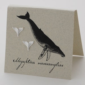 Whale Tail Sterling Silver Studs