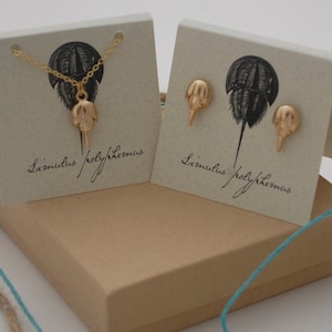 Puede incluir: Un conjunto de joyas de cangrejo herradura de oro, que incluye un collar y pendientes. El collar presenta una delicada cadena de oro con un colgante de cangrejo herradura. Los pendientes son pendientes de botón con diseños de cangrejo herradura. Las joyas se muestran en una tarjeta marrón con el texto "Limulus polyphemus".