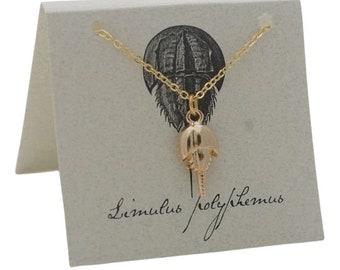 Horseshoe Crab Necklace - 14k gold plate