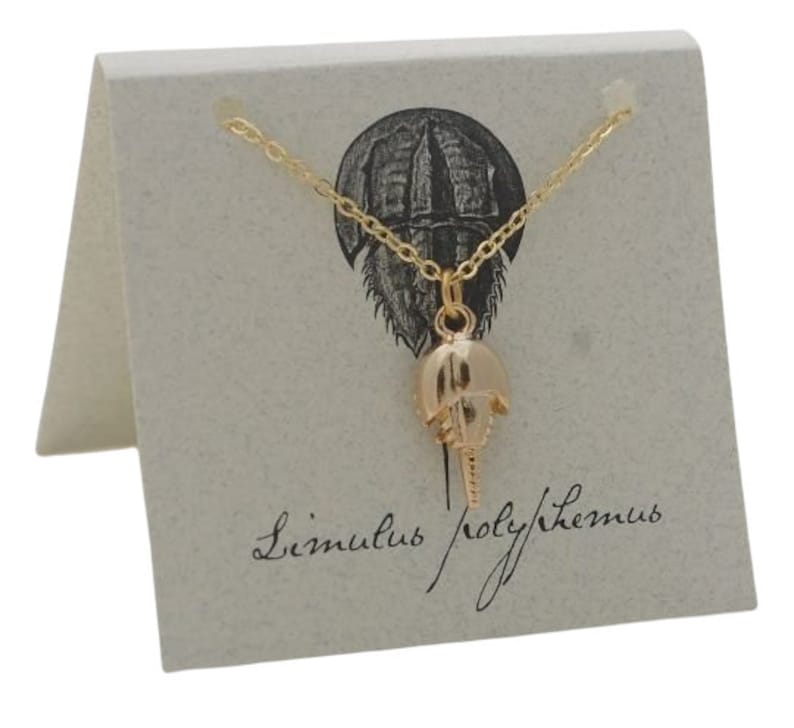Horseshoe Crab Necklace 14k Gold Plate Etsy