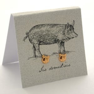 Könnte beinhalten: Goldene Schweine-Ohrstecker auf einer Karte mit einer Schwarzweißillustration eines Schweins und dem Text "Sus domesticus".
