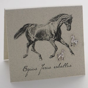 Horse Stud Earrings - sterling silver