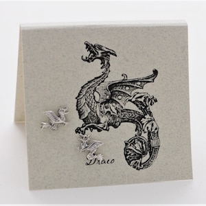 May include: A silver-colored dragon illustration with the word "Draco" below it is printed on a light gray card. Two small silver dragon-shaped earrings are placed near the illustration. The dragon illustration is detailed with scales and wings.