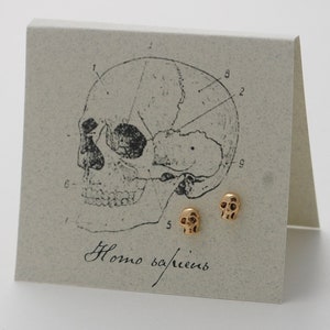 Skull Gold Earrings - SKULL STUDS!