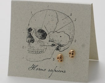 Skull Gold Earrings - SKULL STUDS!