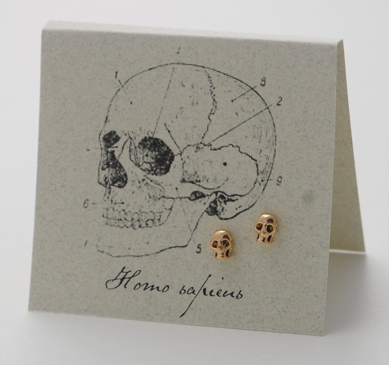 White gold deals skull earrings