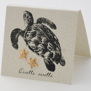 Sea Turtle Stud Earrings - 14k gold over sterling silver