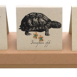 May include: Three cards with illustrations of a snake, a turtle, and a frog. Each card has a pair of gold earrings with a matching animal design. The cards are displayed in a brown box.