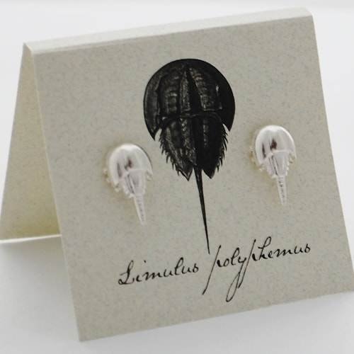 Horseshoe Crab Earrings sterling Plate Limulus STUDS Etsy