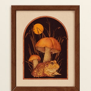 Bullfrog & Mushrooms ⋆ Art Print ⋆ Boho Art Print ⋆ Nature art print