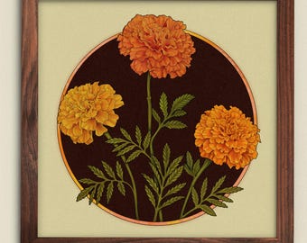 Marigolds ⋆ Art Print