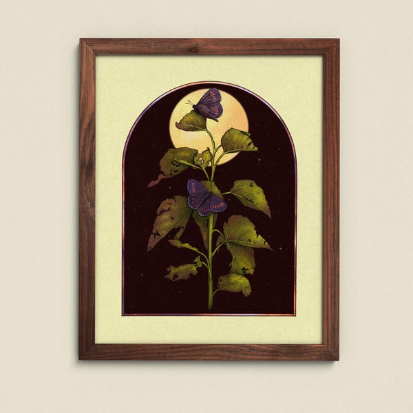 Purple Butterflies At Night ⋆ Art Print ⋆ Vintage Inspired Art ⋆ Boho Art Print ⋆ Witchy Art Print