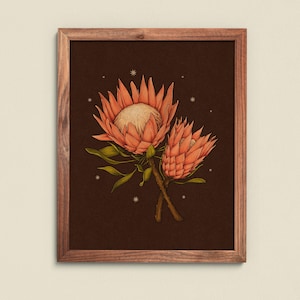 Protea Flower⋆ Art Print ⋆ Vintage Inspired Art ⋆ Boho Art Print ⋆ Nature art print